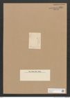 Diatomeae indet. Zeichnungen Sammlung Grunow Nr. 1829 (NHMW-BOT-W0368754)